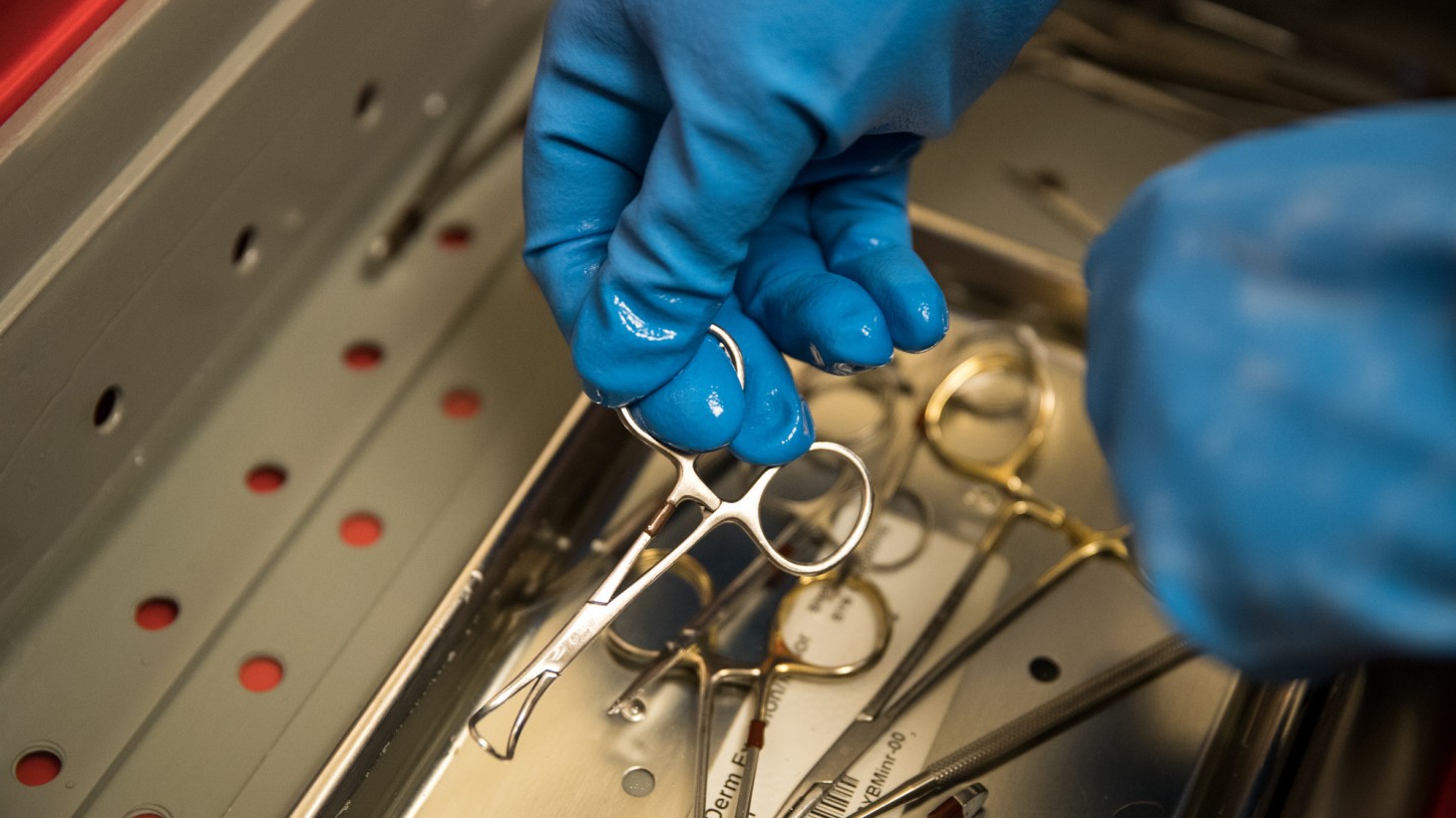 hands wearing blue gloves touching surgical scissors